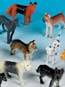 Adorable Dogs 1 1/2 - 2in. (12/PKG)