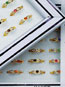 Birthstone Rings (36/PKG)