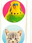 Pet Stickers (100/ROLL)