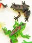 Plastic Frogs - 1 1/4 in. (12/PKG)